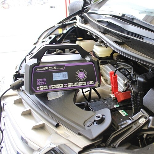 自動パルス充電器 EA815YA−44