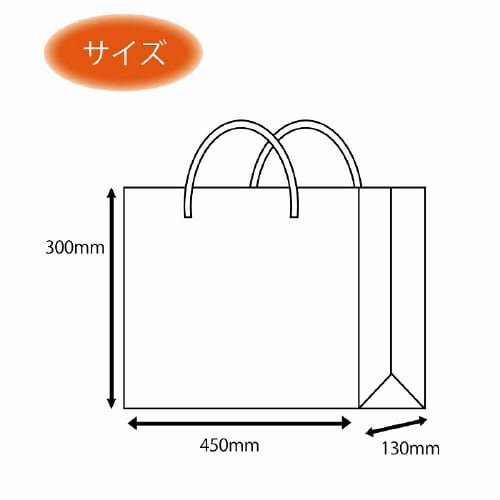 ブライトバッグ 45−13 黒(MT) 10枚×5