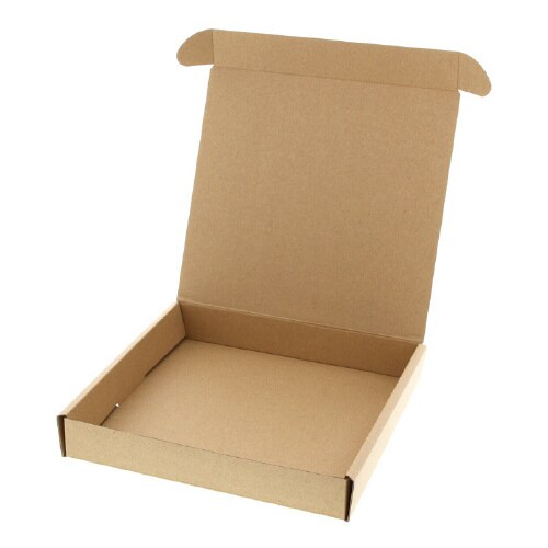 ナチュラルBOX Z−20 プレート1枚用 10枚