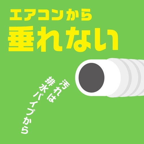 エアコン洗浄スプレー防カビプラスFフォレスト 2本