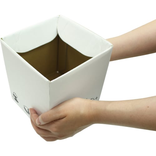 ぱっくんパンダ 20枚入