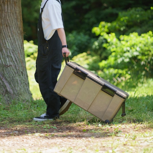 アイセル #55 サンドベージュ