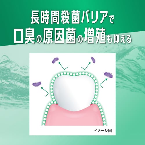 ガムデンタルリンス(ノンアルコール)960ml×5