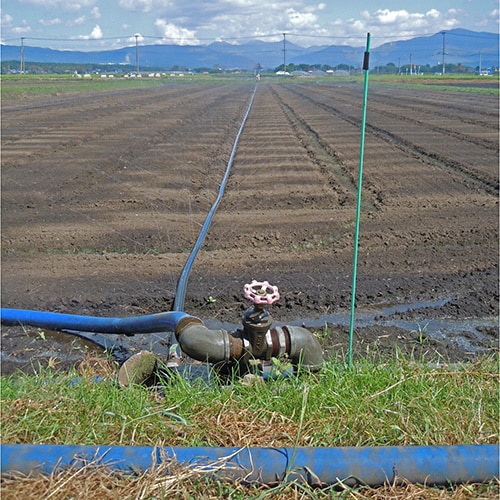 ブルーホース FBL−100−30