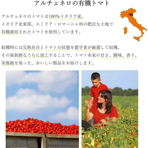 日仏貿易 有機ペンネ 250g×3個