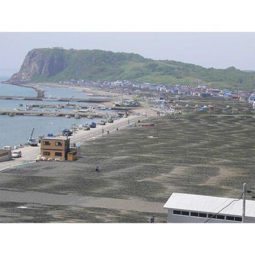 マツモト お徳用おつまみ昆布 100g×4個