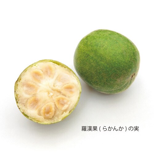 フォワード ラカント業務用液状甘味料 1L×2個