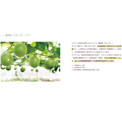 フォワード ラカントホワイト 3g*85本×5個