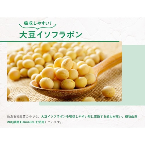 豆乳グルト(機能性表示食品) 400g×6個