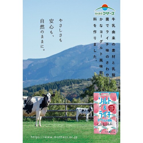 ソルト&ライチヨーグルト風味 250ml×24本