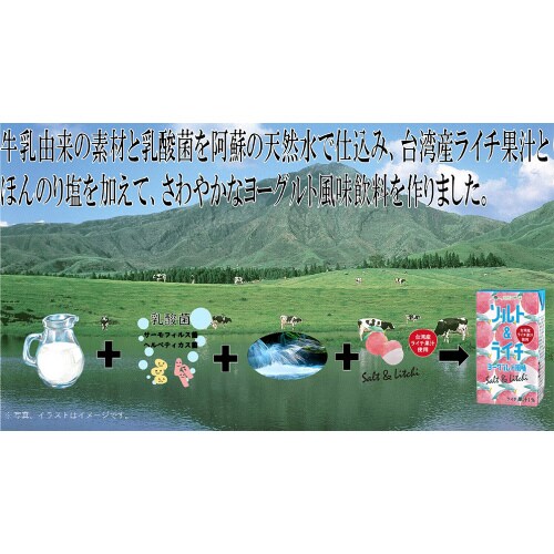 ソルト&ライチヨーグルト風味 250ml×24本