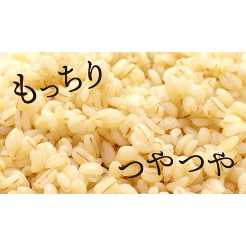兵庫育ちのもち麦 5kg