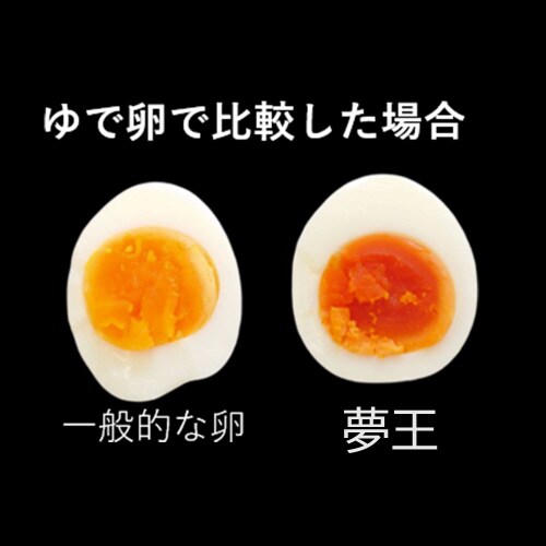 夢王 10個入り×6パック 1セット×1個