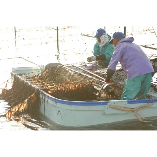 一等級佐賀有明海産味付のり 10切40枚×5個