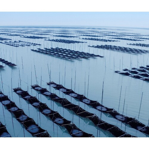 佐賀有明海産おにぎり焼のり 3切15枚×5個