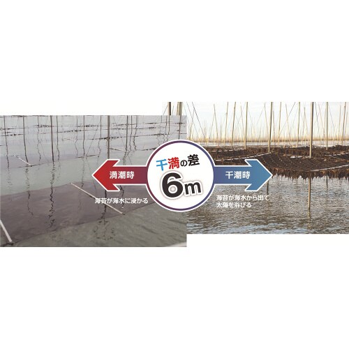 佐賀有明海産おにぎり焼のり 3切15枚×5個