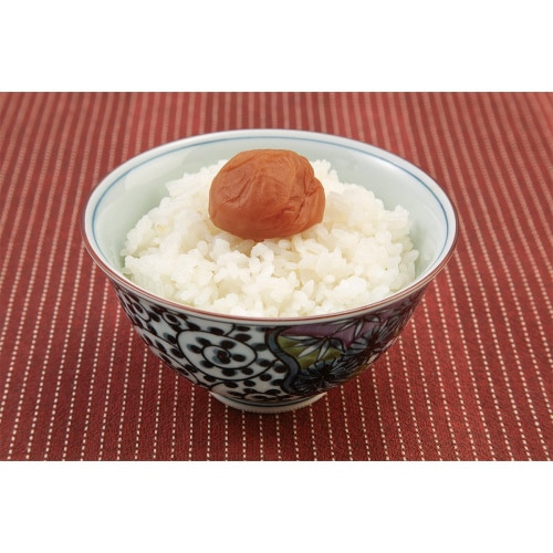 中田食品 紀州梅ぼし田舎漬 450g