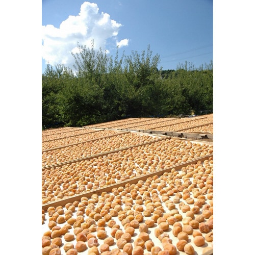 中田食品 紀州梅ぼし田舎漬 450g