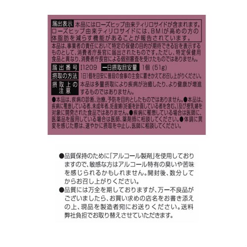 低糖質Plusパン・オ・ショコラクレーム 12個