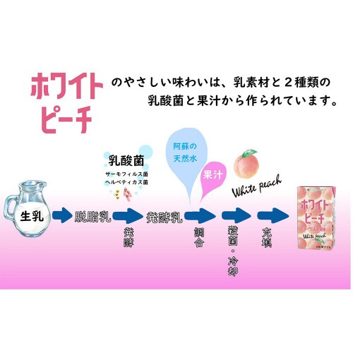 ホワイトピーチヨーグルト風味 250ml×24本