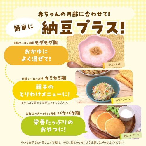 ヤマダフーズ 国産納豆パウダー 10個入×6袋