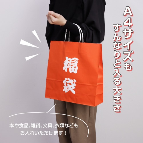 手提げ袋 福袋 320×110×330 50P