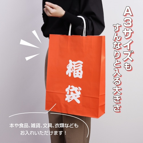 手提げ袋 福袋 320×110×430 50P