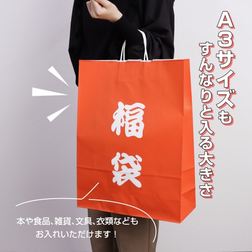 手提げ袋 福袋 380×145×500 50P