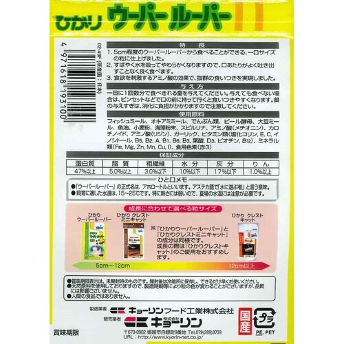 ひかりウーパールーパー