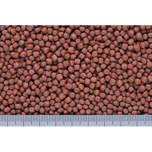 ミニペット色あげ