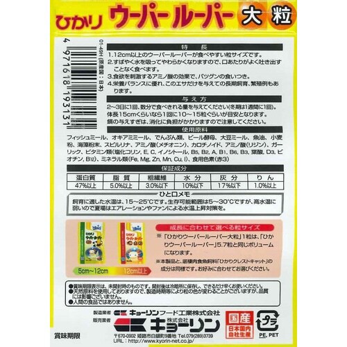 ウーパールーパー大粒