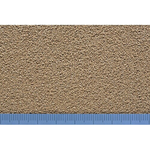 メダカの舞コンプリート