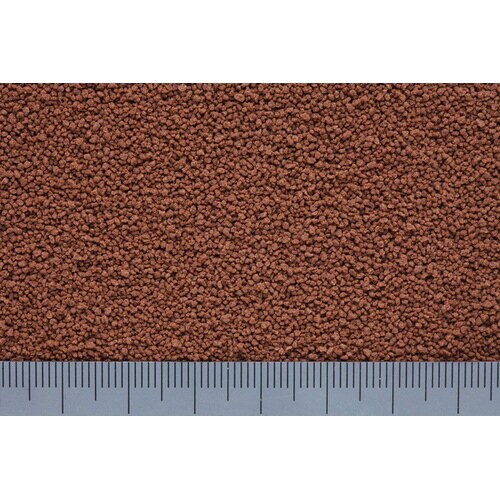 ひかりクレストカラシン