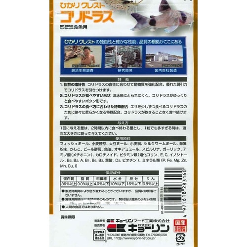 ひかりクレストコリドラス