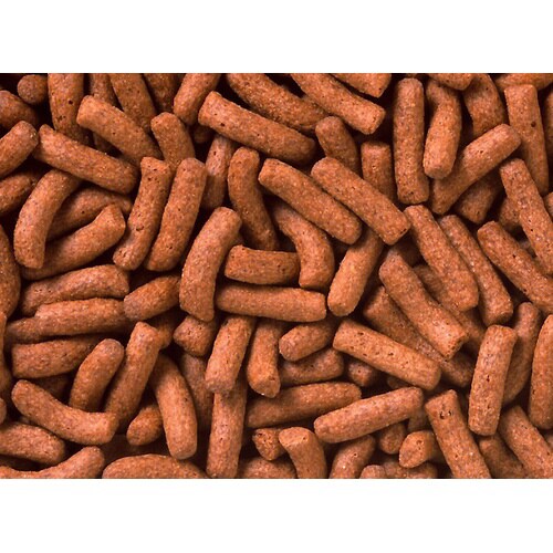 ひかりクレストカーニバル