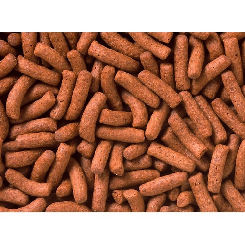 ひかりクレストカーニバル