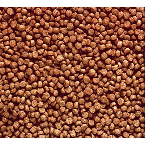 ひかりクレストミニキャット