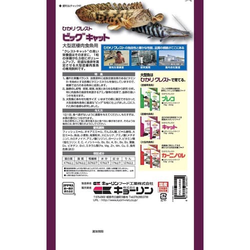 ひかりクレストビッグキャット