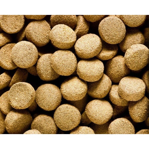 ひかりクレストビッグキャット