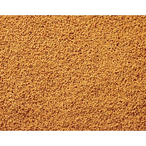 ひかりクレストグッピー×2