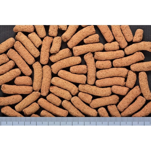 ひかりベルツノ