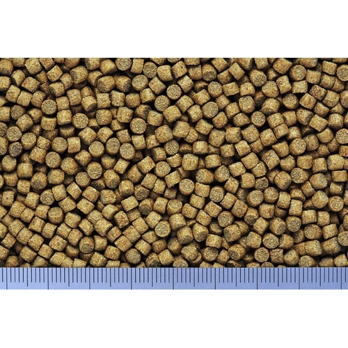 ミニペット沈下性