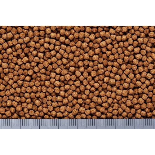 キンギョのエサ