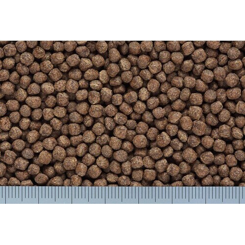 ひかり色揚小粒