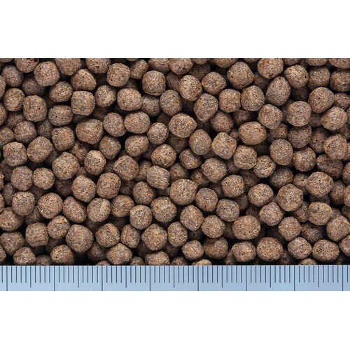 ひかり色揚中粒