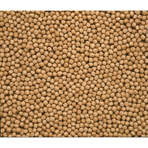 ひかり胚芽浮小粒