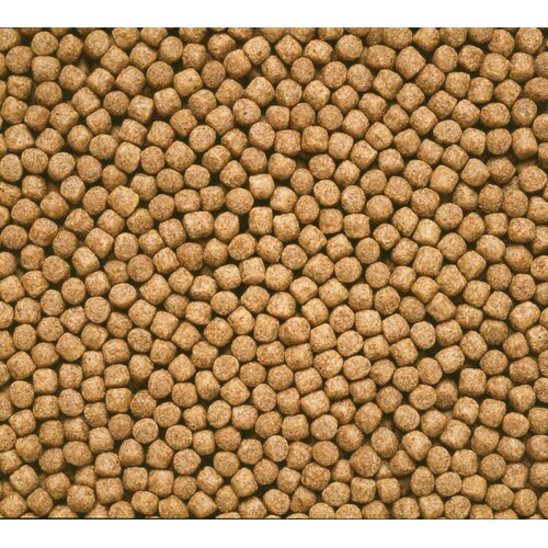 ひかり胚芽浮中粒