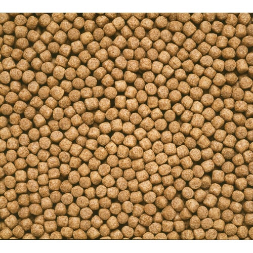 ひかり胚芽浮中粒