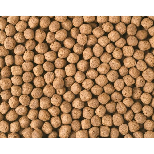 ひかり胚芽浮大粒