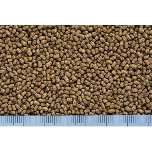 カメプロスミニ